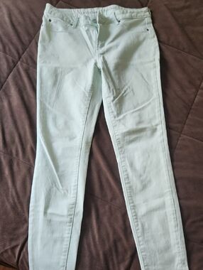 Articles Of Society Mint Green Skinny Jeans